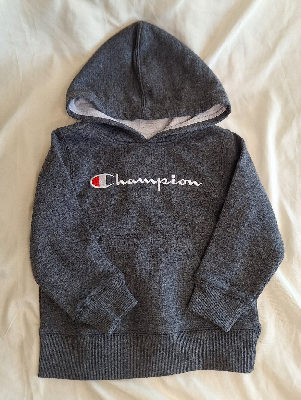 Champion Kids Dark Gray Pullover Hoodie Size 3T